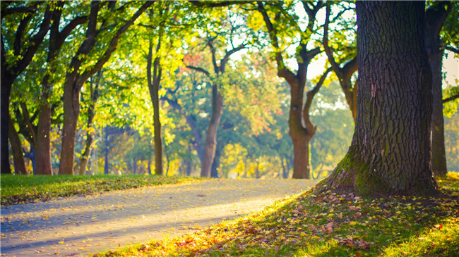 日语学习听说读写四大法 日本留学不用怕