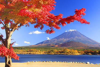 想拿到日本留学签证，这些雷区不能踩！