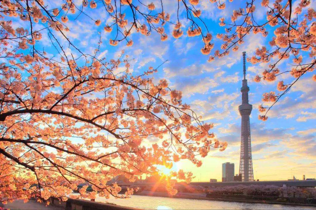 <a href='http://kshuli.cn/ribenliuxue/' target='_blank'><u>昆山日本留学</u></a>